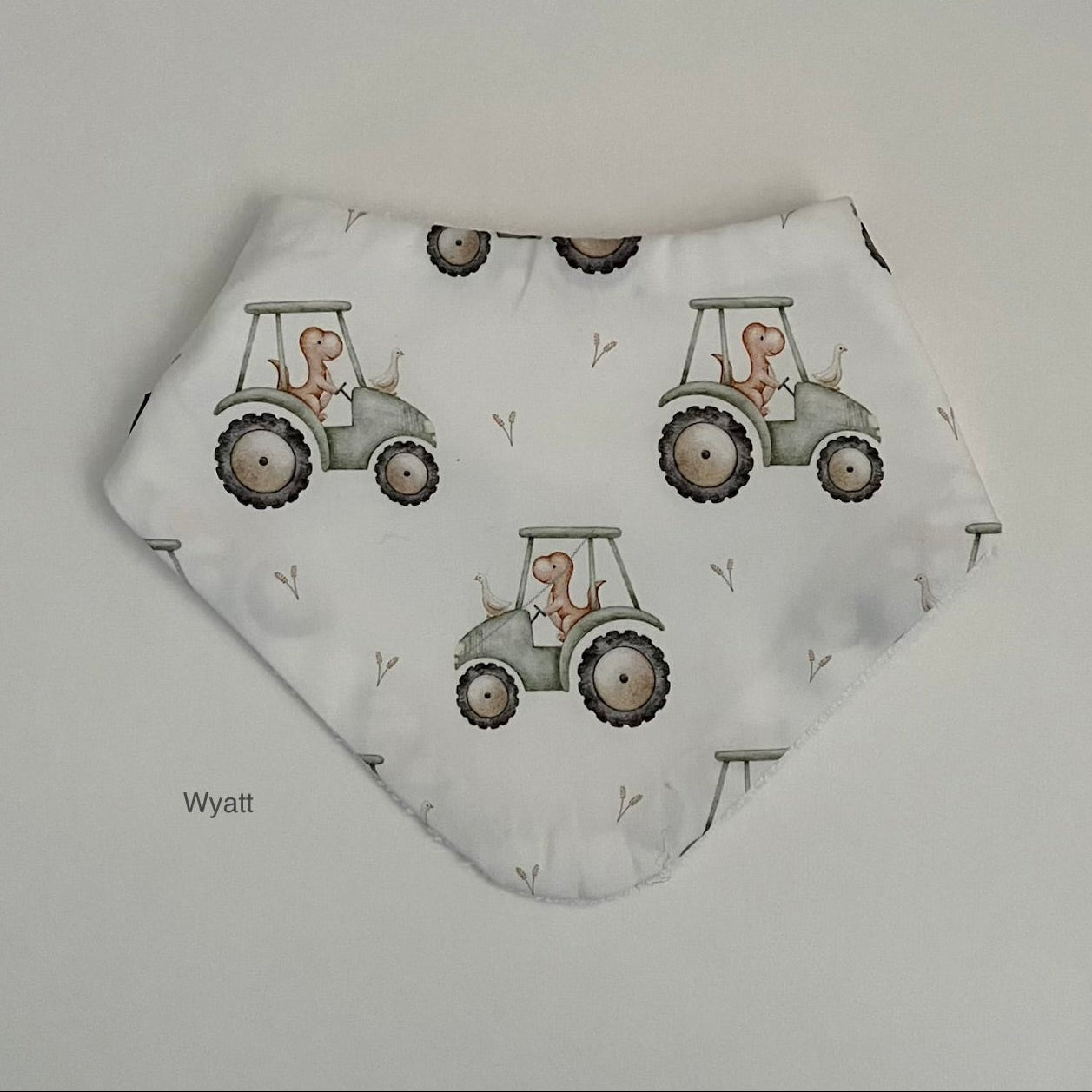 Dribble Bibs