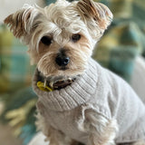 Little Dog wearing oatmeal merino dog jumpers