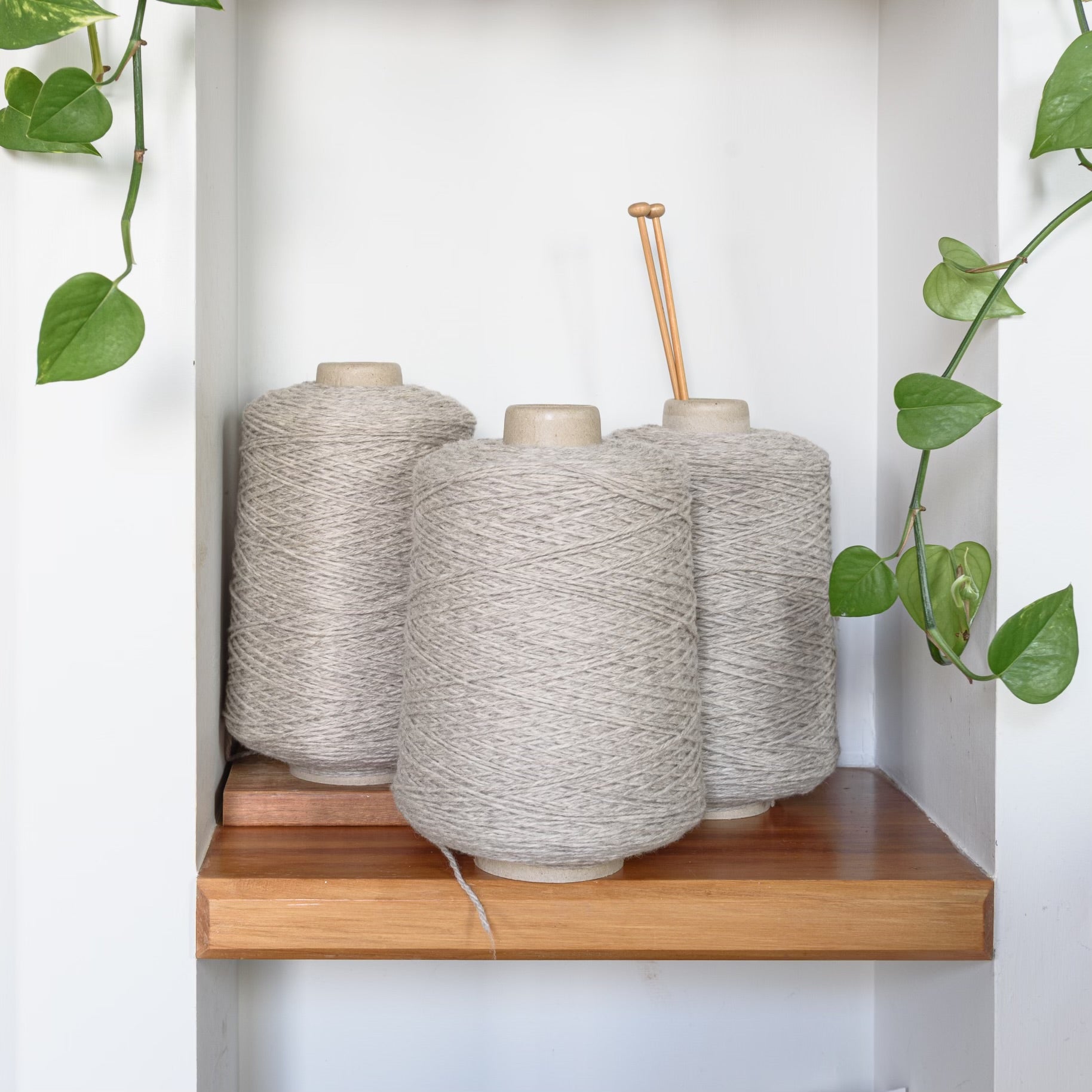 Three large oatmeal yarn cones displayed on a wooden shelf, with knitting needles resting on top, framed by green trailing vines against a white wall.