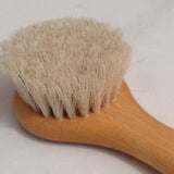 Head of face and body brush