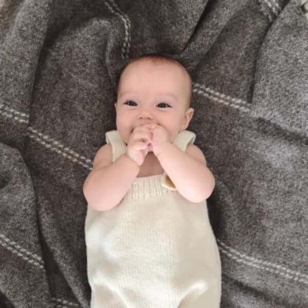 Solid grey stansborough cot blankets