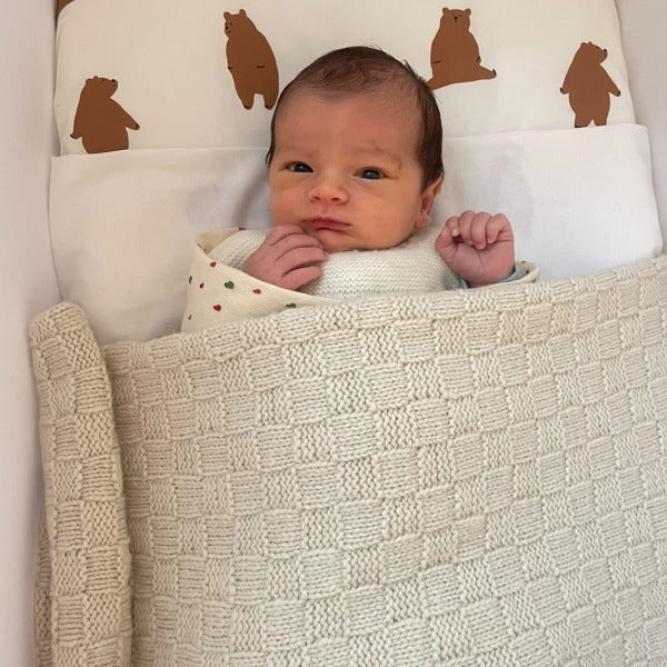 Baby in Bassinet with Natural Travel Rug