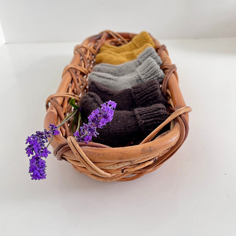 Basket with socks and lavender flowers on a white background
