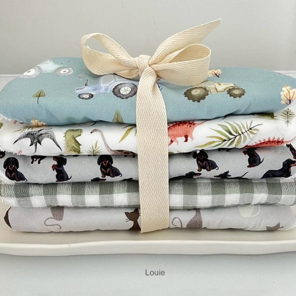 Dribble bib set of five Louie