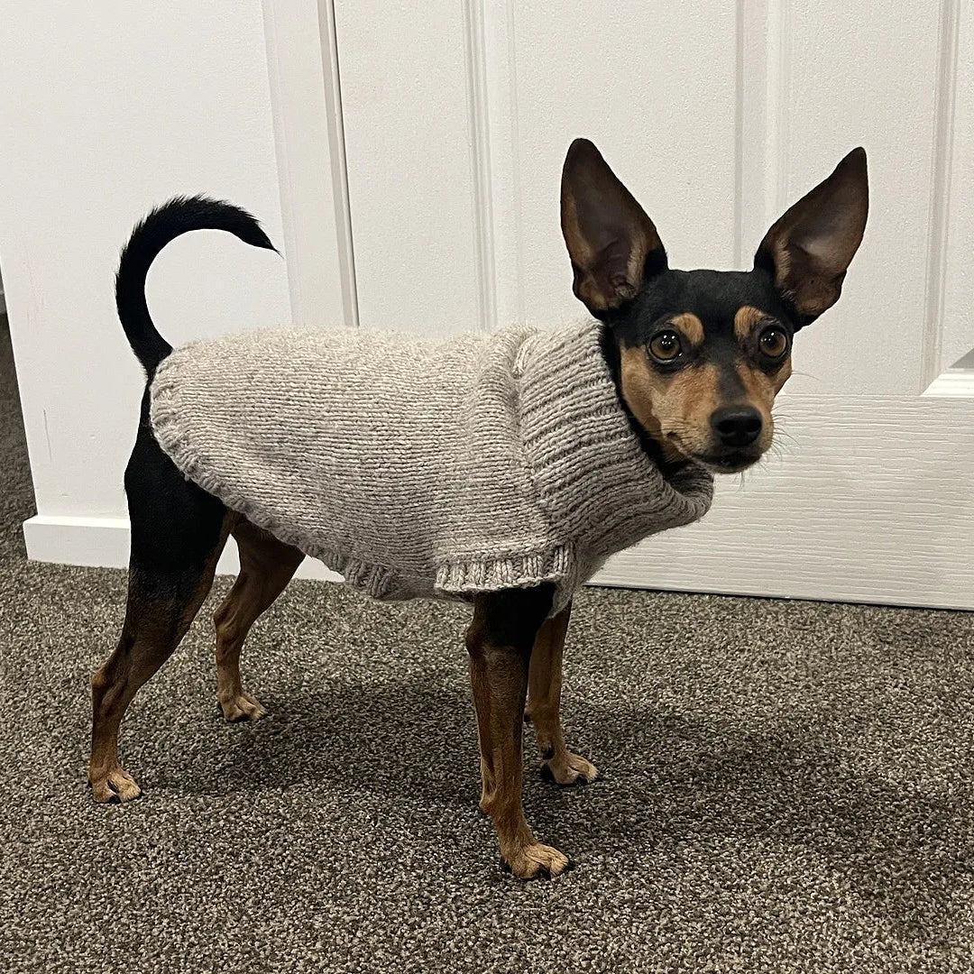 Dog Jumpers