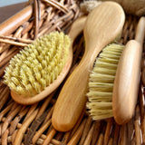 Tampico plant fibre child hair brush