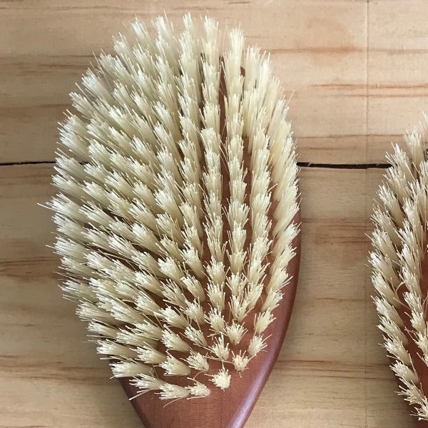 Bristles of the pearwood brush